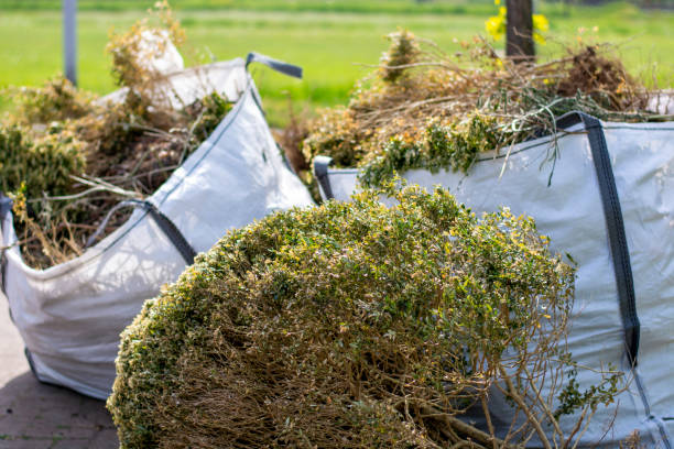 Best Yard Waste Removal  in Westmoreland, TN